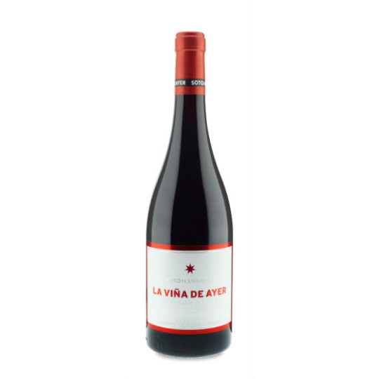 La Viña de Ayer Garnacha 2021
