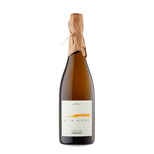 Can Descregut Memòria Brut...