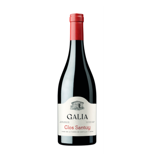Galia Clos Santuy 2022