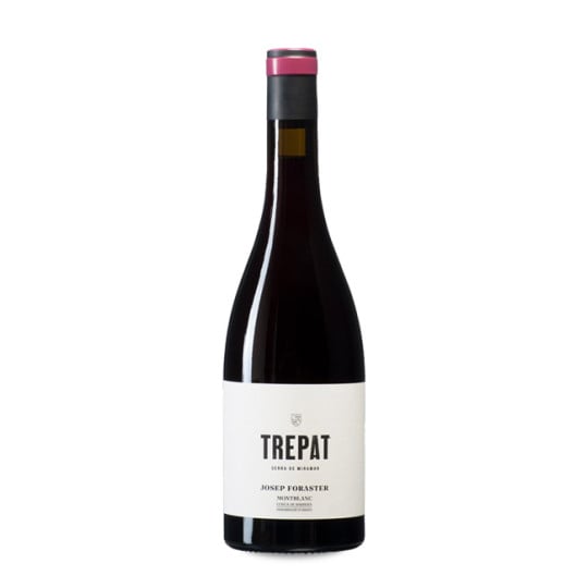 Josep Foraster Trepat 2024