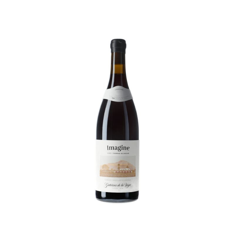 Gutierrez de la Vega Imagine  2021