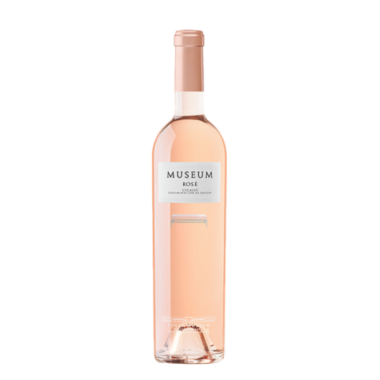 Museum Rose 2025