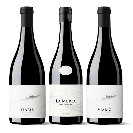 La Muria Presente 2023