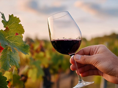 Vinhos sem sulfitos: uma tendência que veio para ficar 